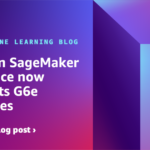 Amazon SageMaker Inference now helps G6e cases