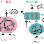 Inductive biases of neural community modularity in spatial navigation – Machine Studying Weblog | ML@CMU