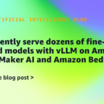 Effectively serve dozens of fine-tuned fashions with vLLM on Amazon SageMaker AI and Amazon Bedrock